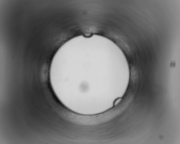 X0000102370030200808291300
