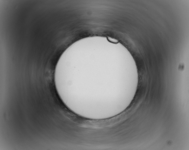X0000102370033200808291300