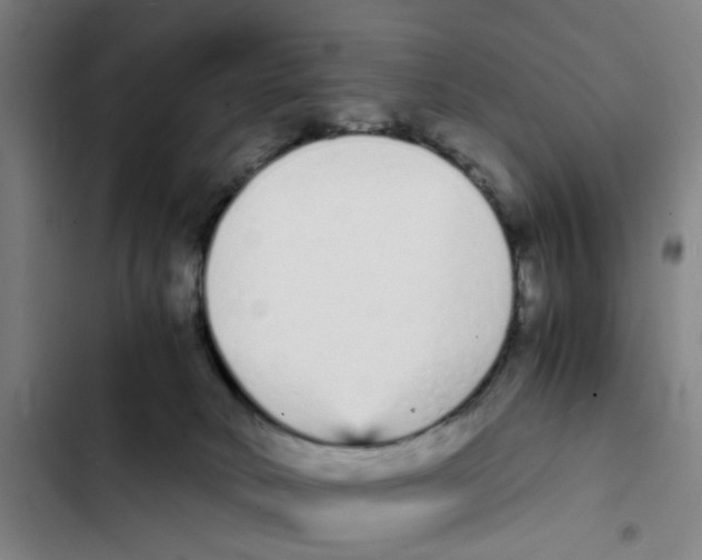 X0000102370034200808291300