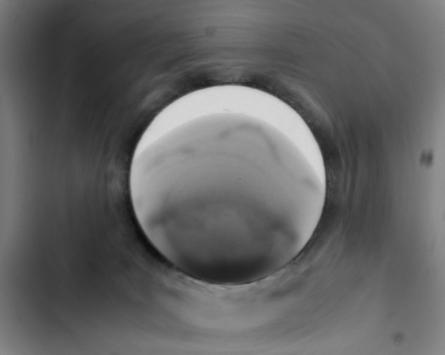 X0000102370035200808291300