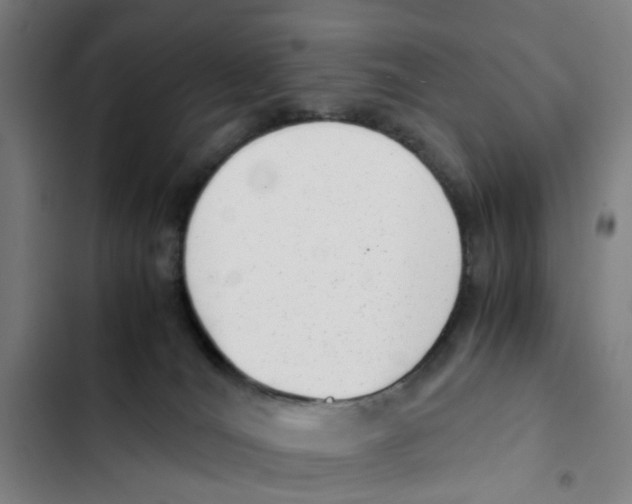 X0000102370036200808291300