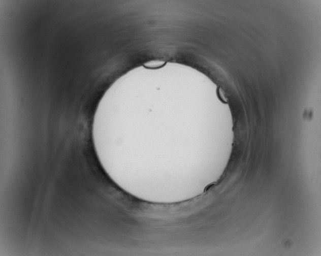 X0000102370037200808291300