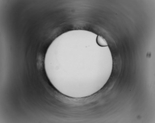 X0000102370038200808291259