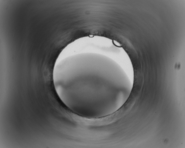 X0000102370039200808291259