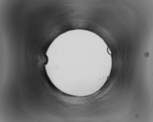 X0000102370040200808291259