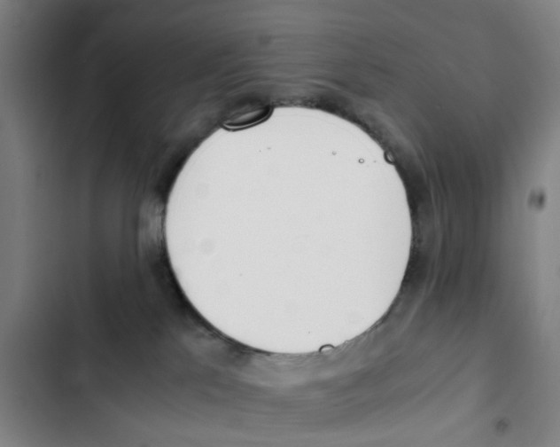 X0000102370041200808291259