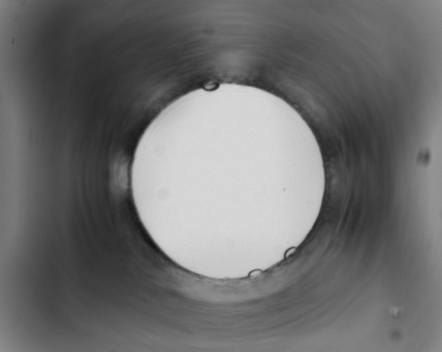 X0000102370042200808291259