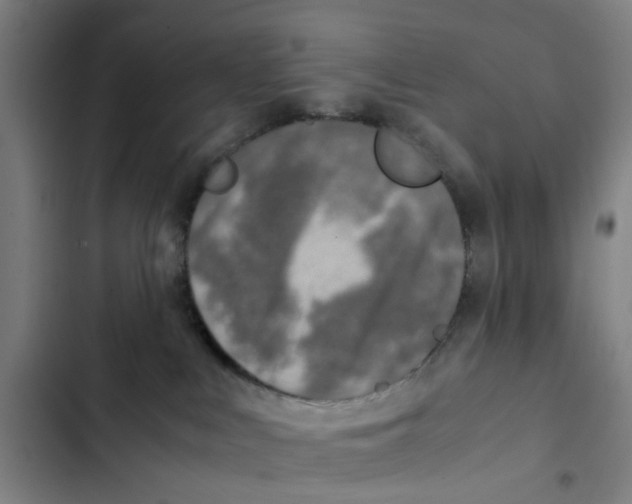 X0000102370043200808291259