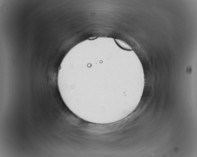 X0000102370045200808291259