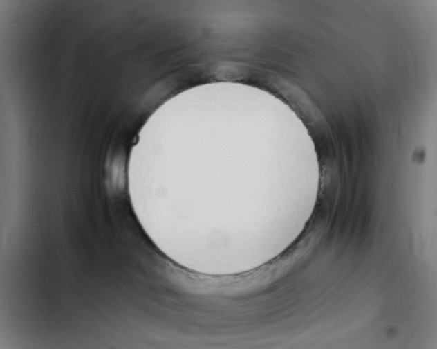 X0000102370046200808291259