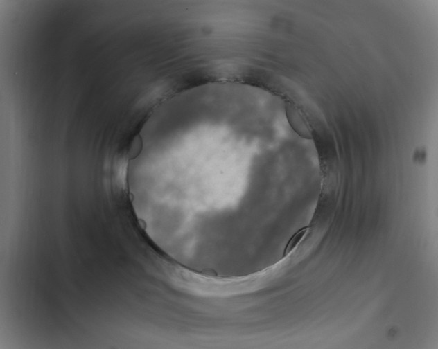 X0000102370047200808291259