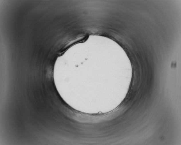 X0000102370048200808291259