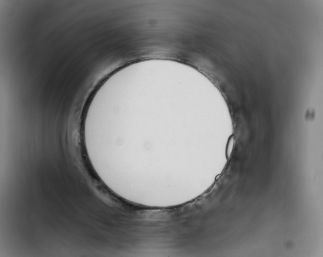 X0000102370050200808291259