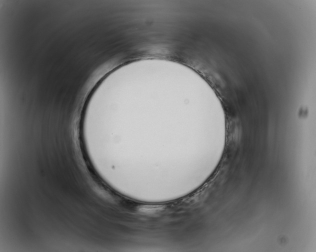 X0000102370051200808291259