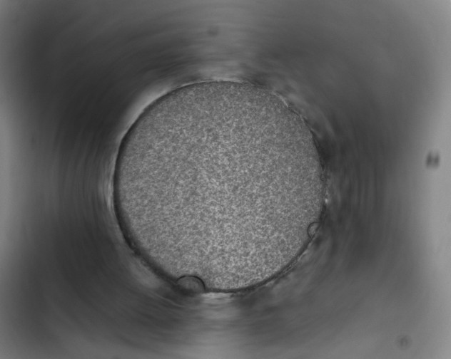 X0000102370052200808291259