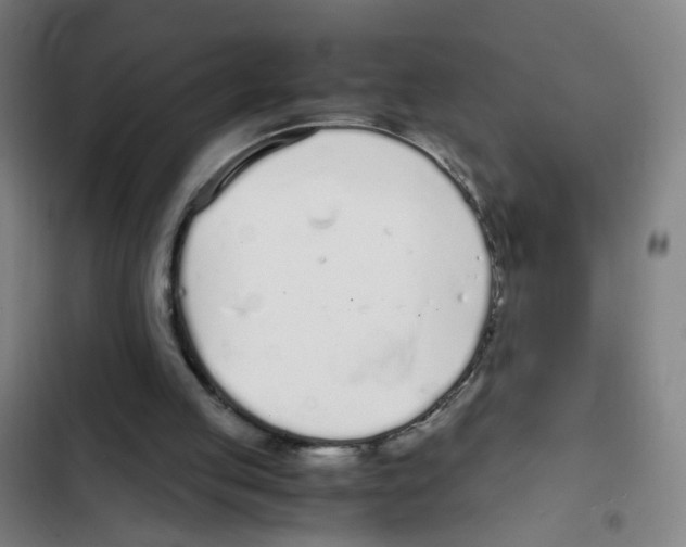 X0000102370053200808291259