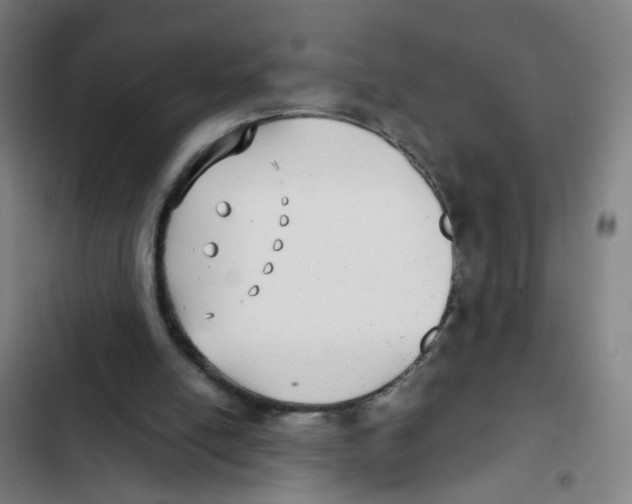 X0000102370054200808291259