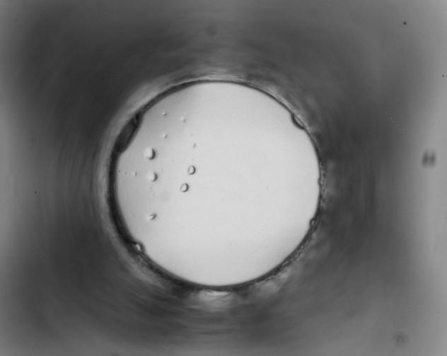 X0000102370055200808291259