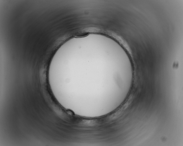 X0000102370057200808291259
