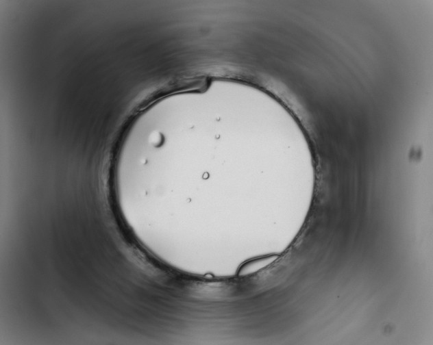X0000102370058200808291259