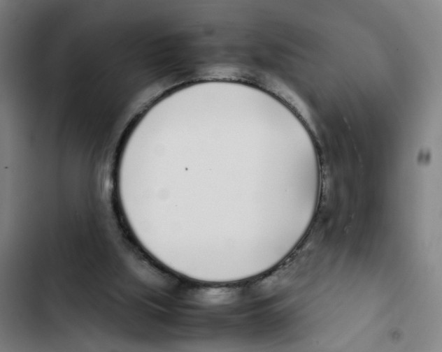 X0000102370059200808291259