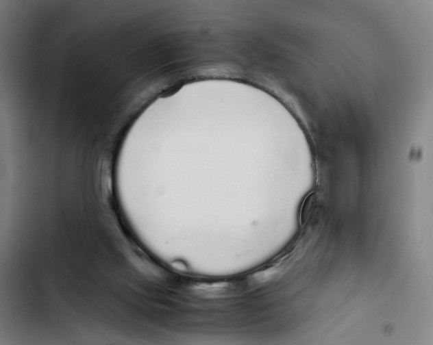 X0000102370061200808291259