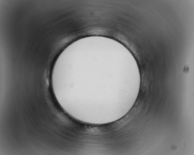X0000102370062200808291259