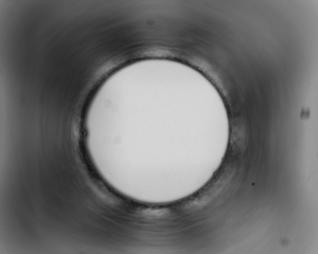 X0000102370063200808291259