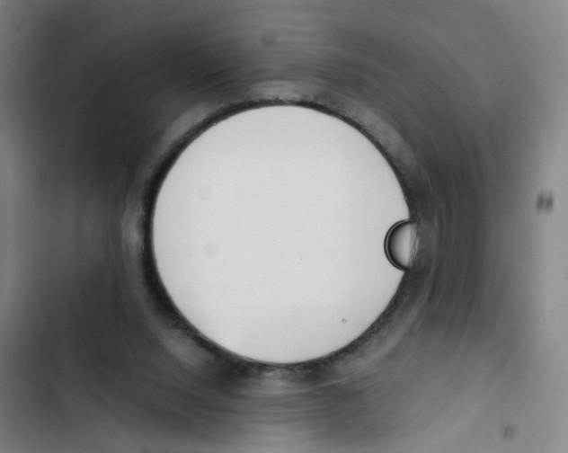 X0000102370064200808291259