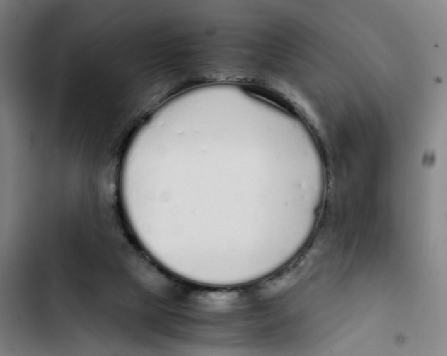 X0000102370065200808291259