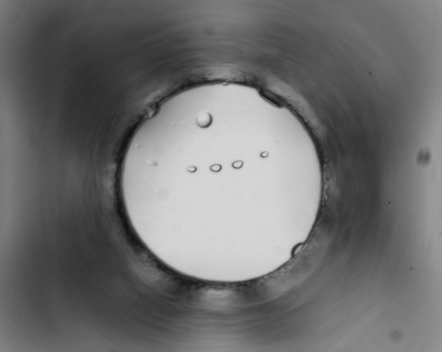X0000102370066200808291259