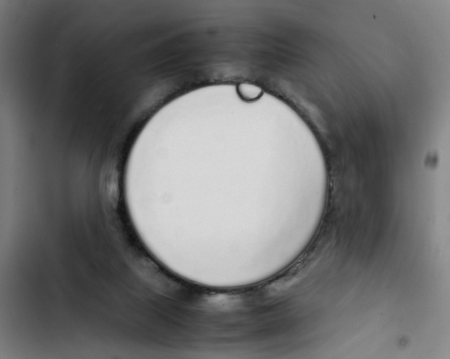 X0000102370067200808291259