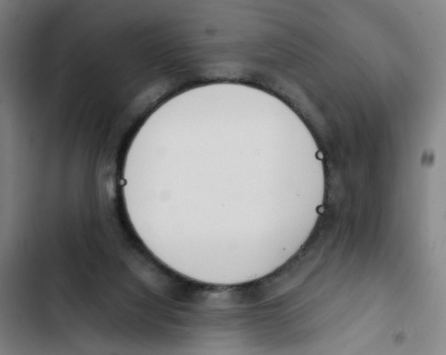 X0000102370068200808291259
