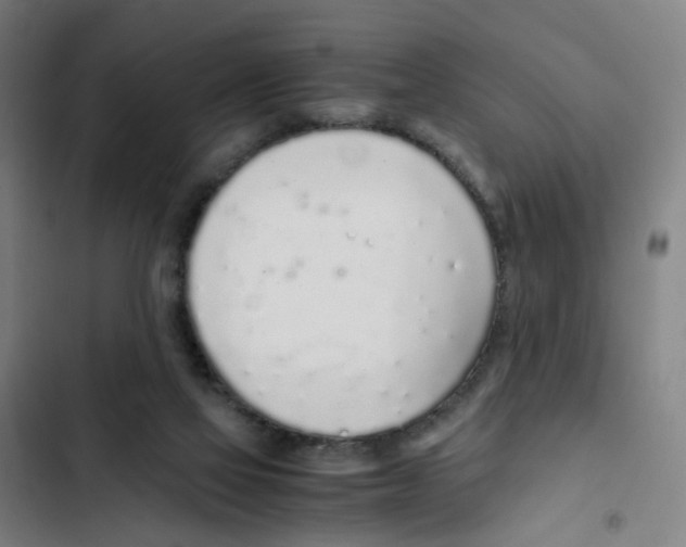 X0000102370069200808291259