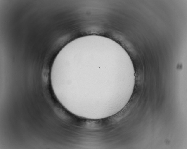 X0000102370070200808291259