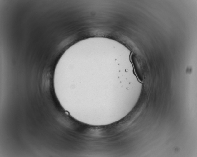 X0000102370071200808291259