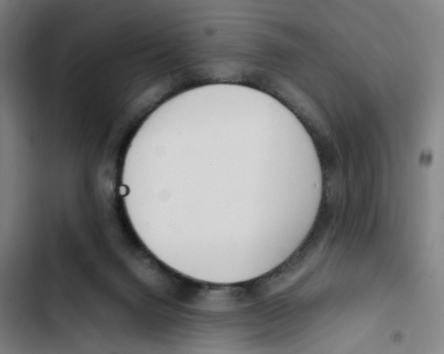 X0000102370072200808291259