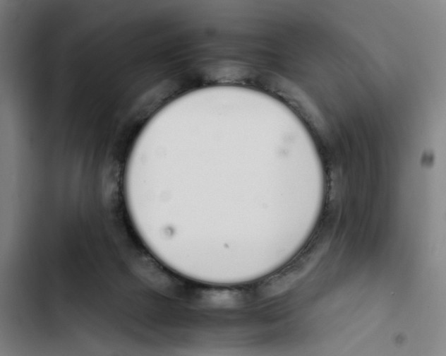 X0000102370073200808291259