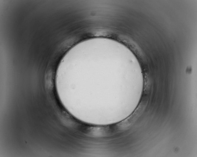 X0000102370074200808291259