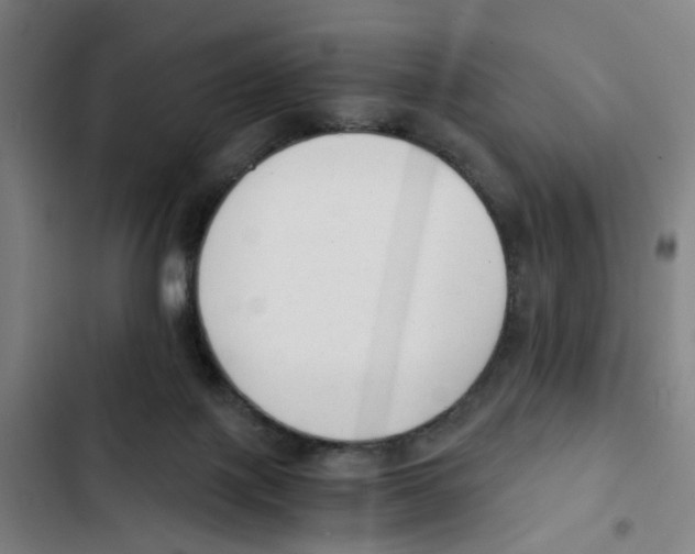 X0000102370075200808291259
