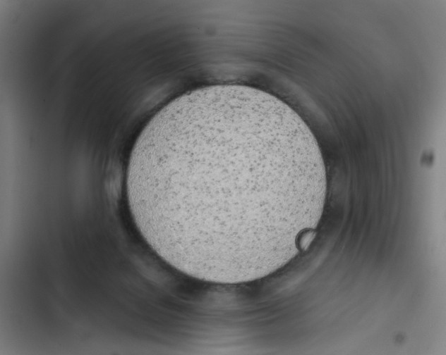 X0000102370076200808291259