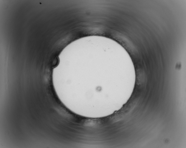 X0000102370077200808291259