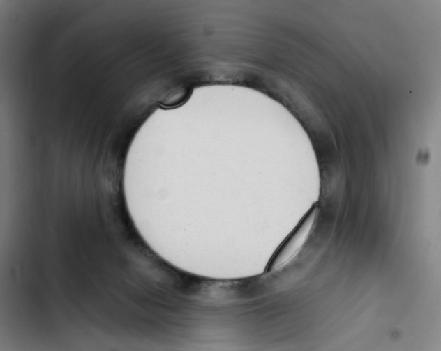 X0000102370078200808291259