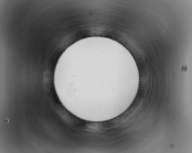 X0000102370079200808291259