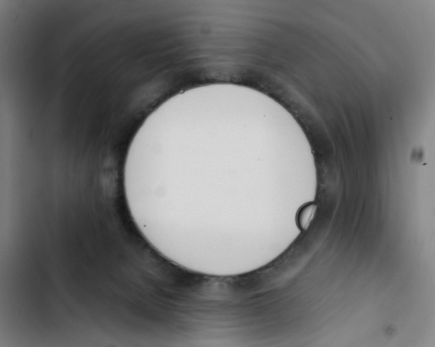 X0000102370080200808291259