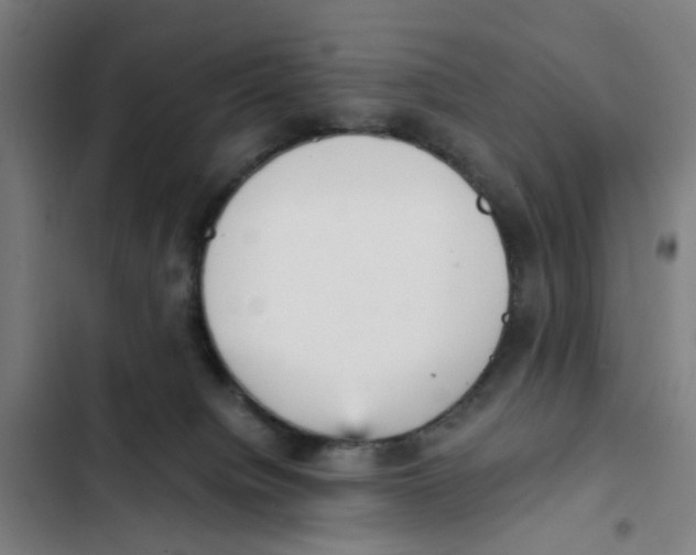X0000102370084200808291259