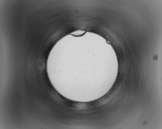 X0000102370085200808291259