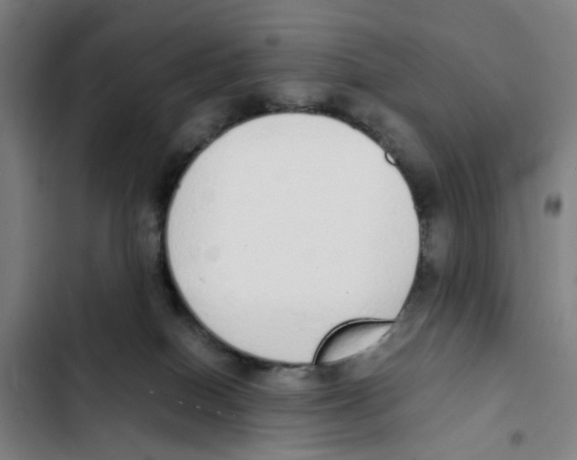 X0000102370086200808291259