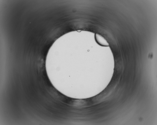 X0000102370087200808291259