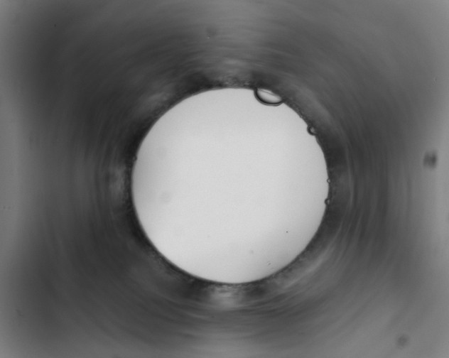 X0000102370088200808291259